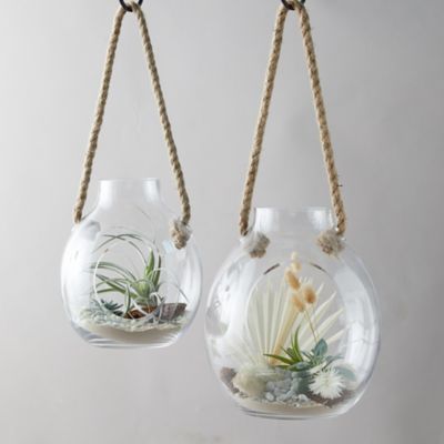 Hanging Terrarium EasyCare Air Plant or Moss Terrariums