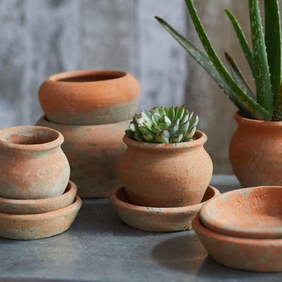 Earth Fired Clay Natural Curve Pots + Saucers, 3 Sizes Set Terrain