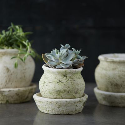 Earth Fired Clay White Curve Pots + Saucers, 3 Sizes Set Terrain