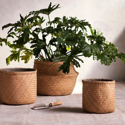 Woven Seagrass Band Planter Terrain