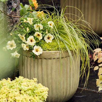 Fiber Concrete Barrel Pot, 16" Terrain