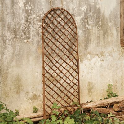 Rounded Top Willow Trellis, Large Terrain