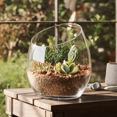 Half Cut Glass Terrarium Terrain
