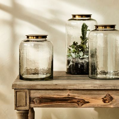 Hammered Glass Terrarium with Lid Terrain