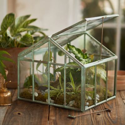 Greenhouse Verdigris Iron Terrarium Terrain