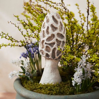 Concrete Morel Mushroom Terrain