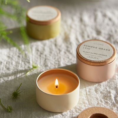 Illume Candle, Plant Based Collection Terrain