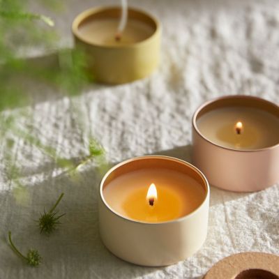 Illume Candle, Plant Based Collection Terrain
