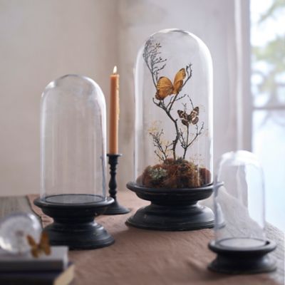 Glass Cloche with Distressed Wood Pedestal Base Terrain