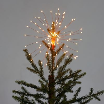 look butter Bible northstar christmas trees Disagreement caravan Nutrition