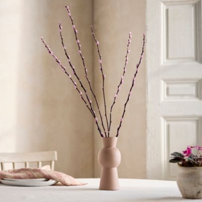 Preserved Pussy Willow Bunch Terrain