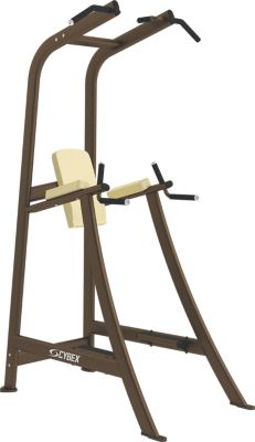 Dip/Chin/Leg Raise Cybex