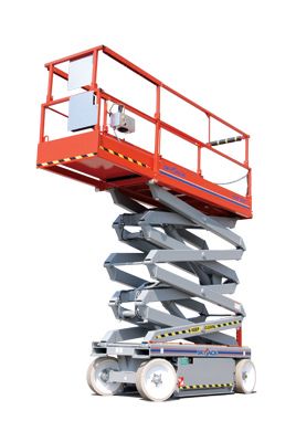 SJIII 3226 - Hawthorne Cat