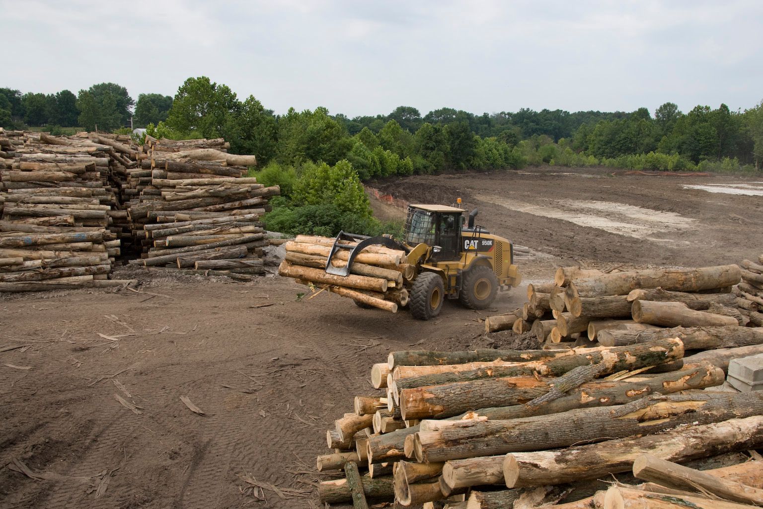 1524mm (60in) Log & Lumber Fork Foley Equipment Company