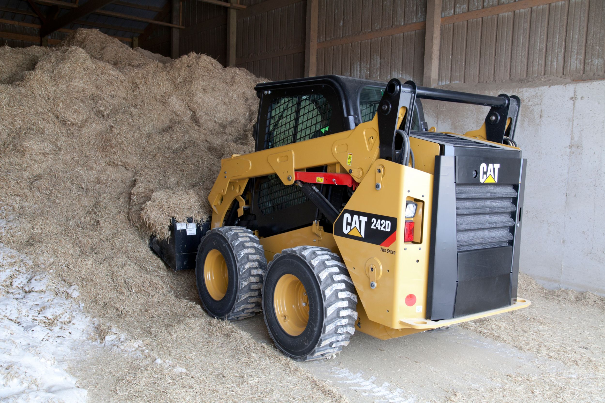 Texas First Rentals Skid Steer Loaders 242D Skid Steer Loader