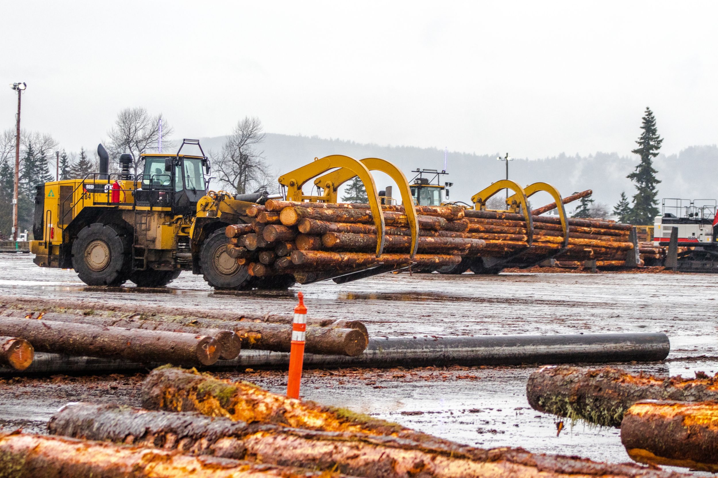 Forestry Equipment Cat Caterpillar