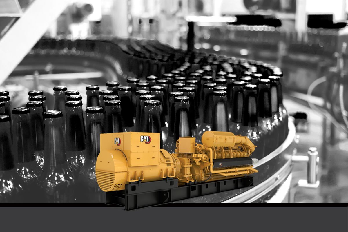 G3520H Hawthorne Cat