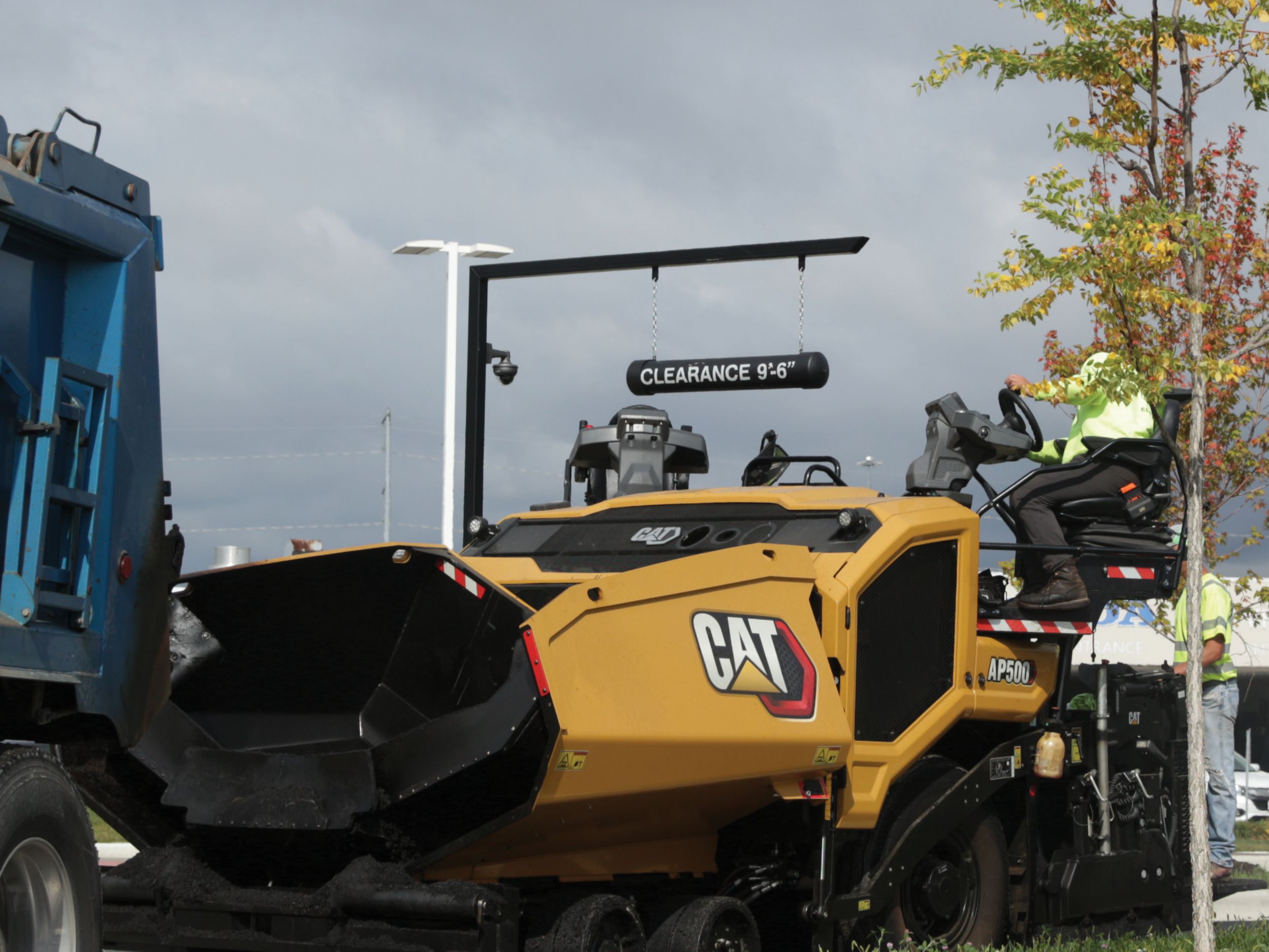 AP500 - Hawthorne Cat