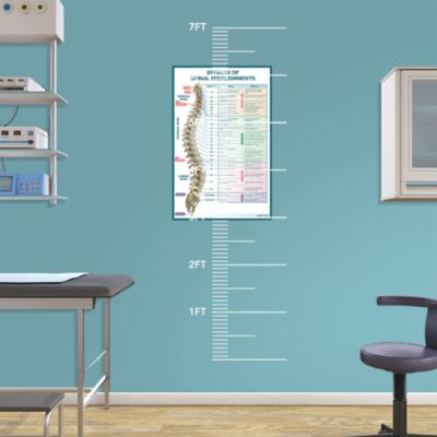 Anatomical Wall Charts Medical Wall Decals from Fathead