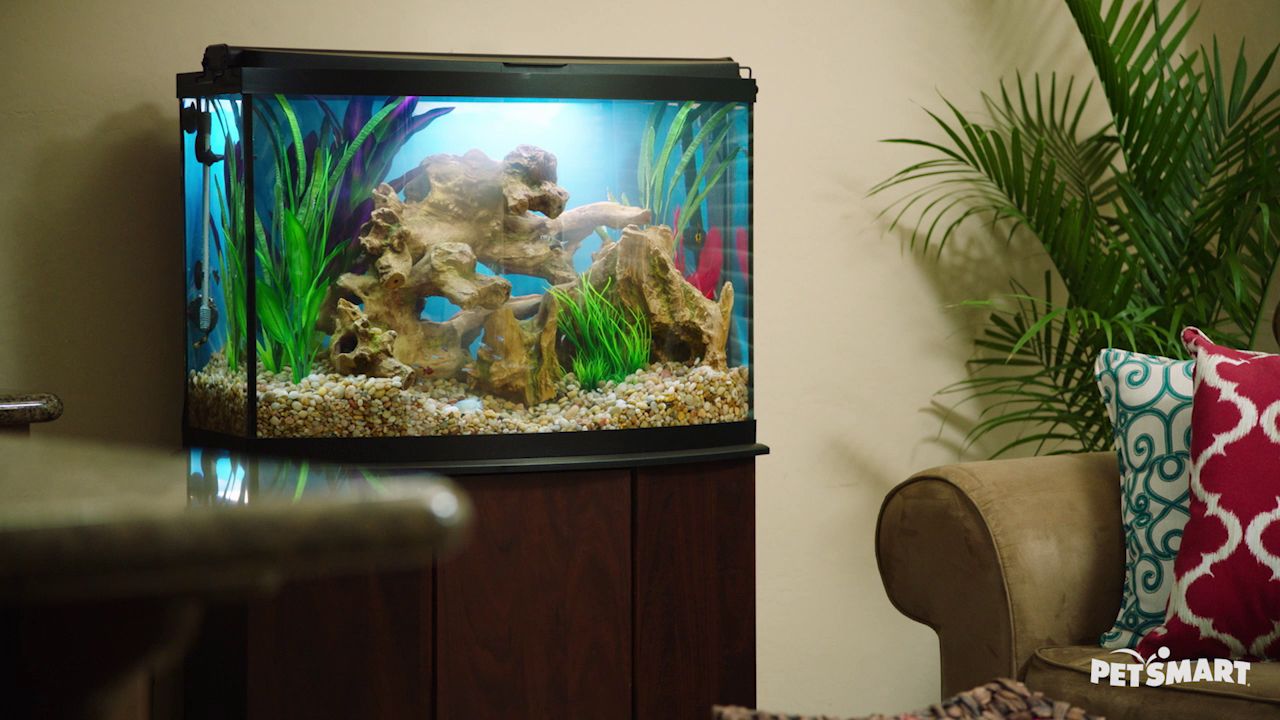 40 Gallon Breeder Tank Cost Wese Aquarium Fish