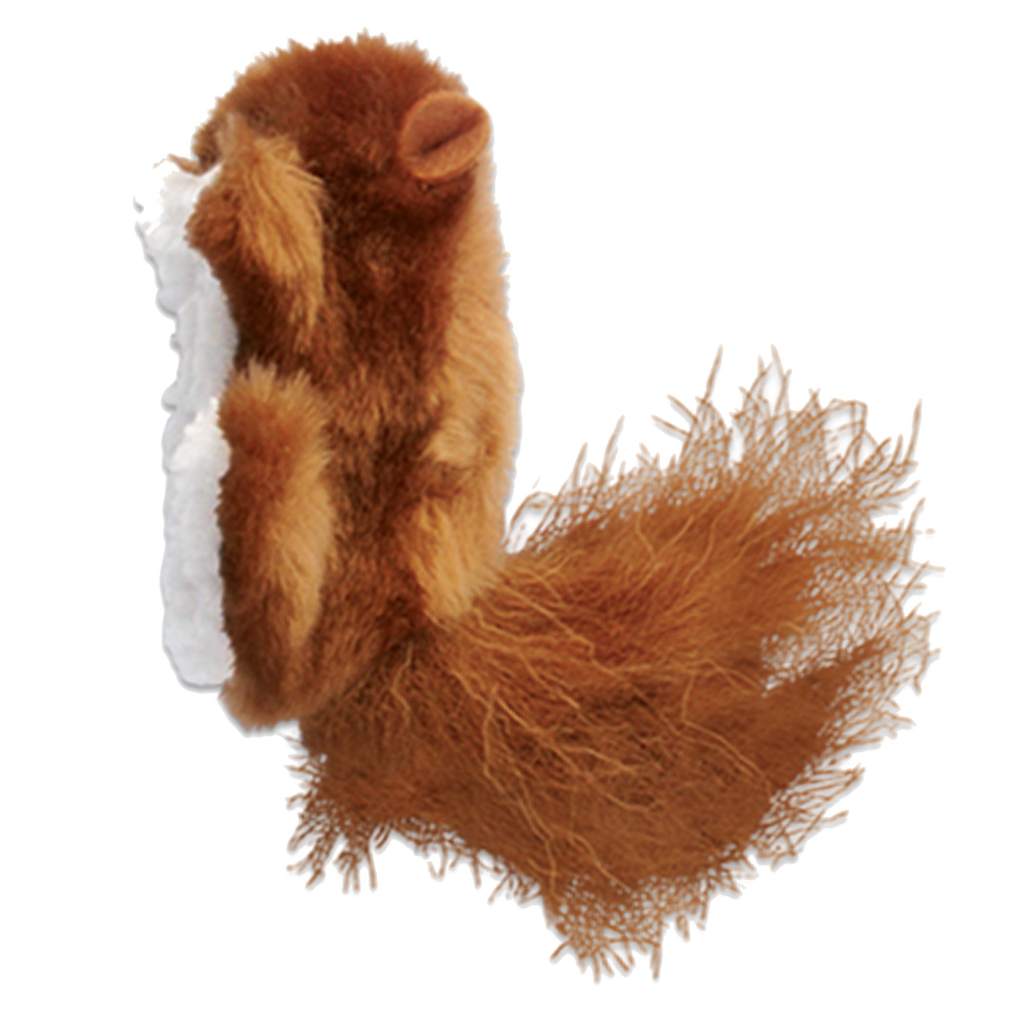 Cat Supplies Kitten Accessories & Products PetSmart