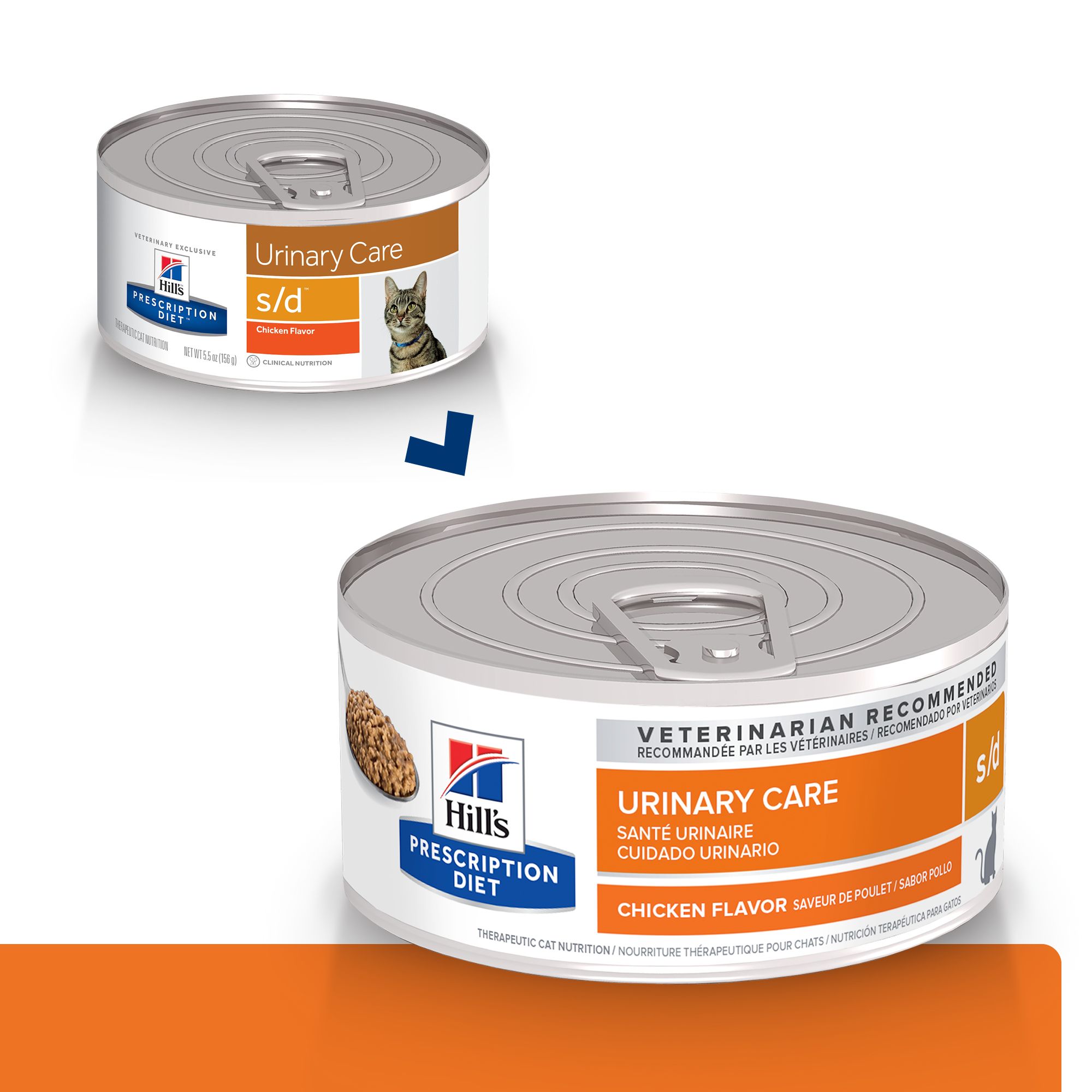 Struvite Stones In Cats