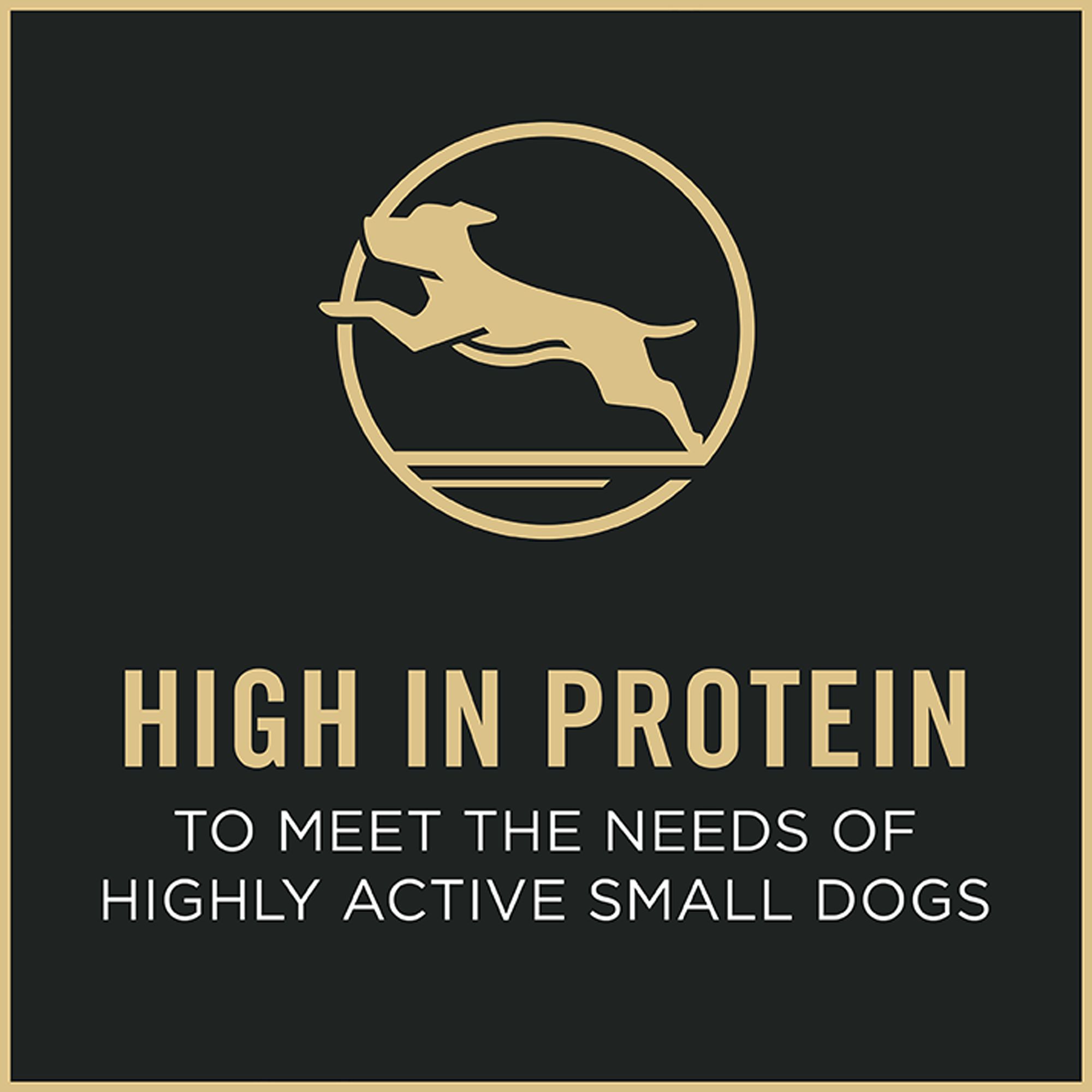Purina Pro Plan Focus Nutrition Information Besto Blog