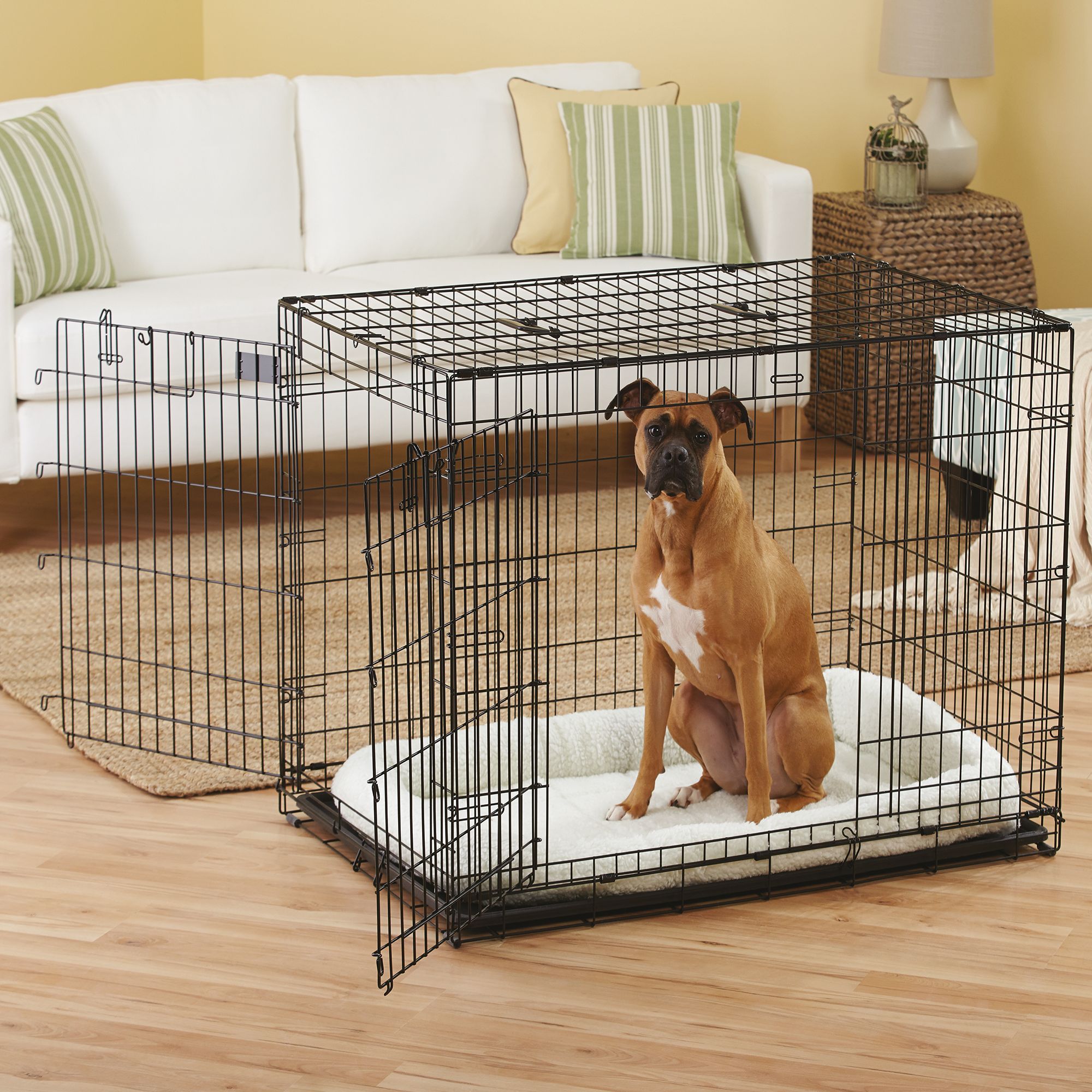 Pet Smart Dog Crate The W Guide