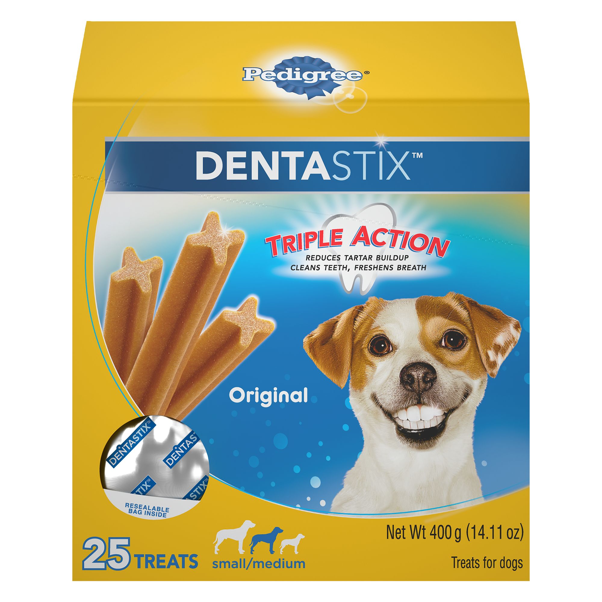 canine dental