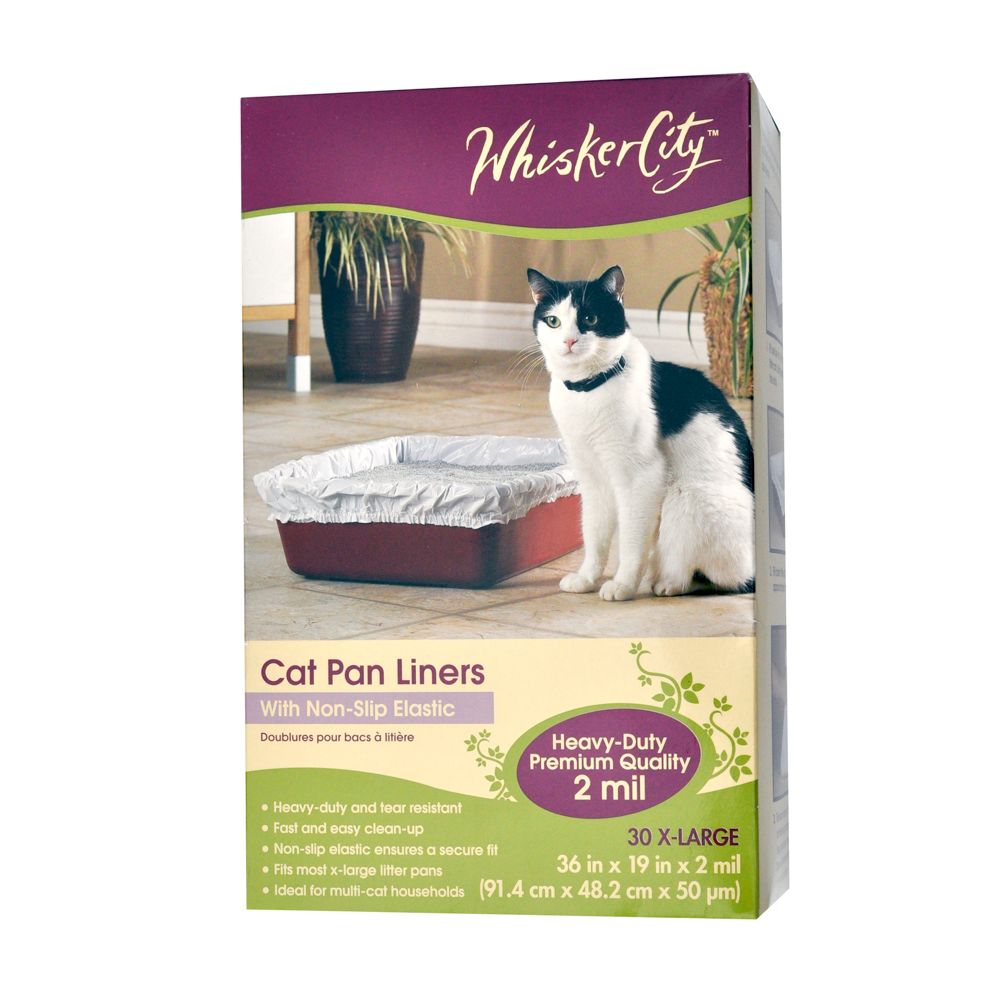 Cat Supplies Kitten Accessories & Products PetSmart