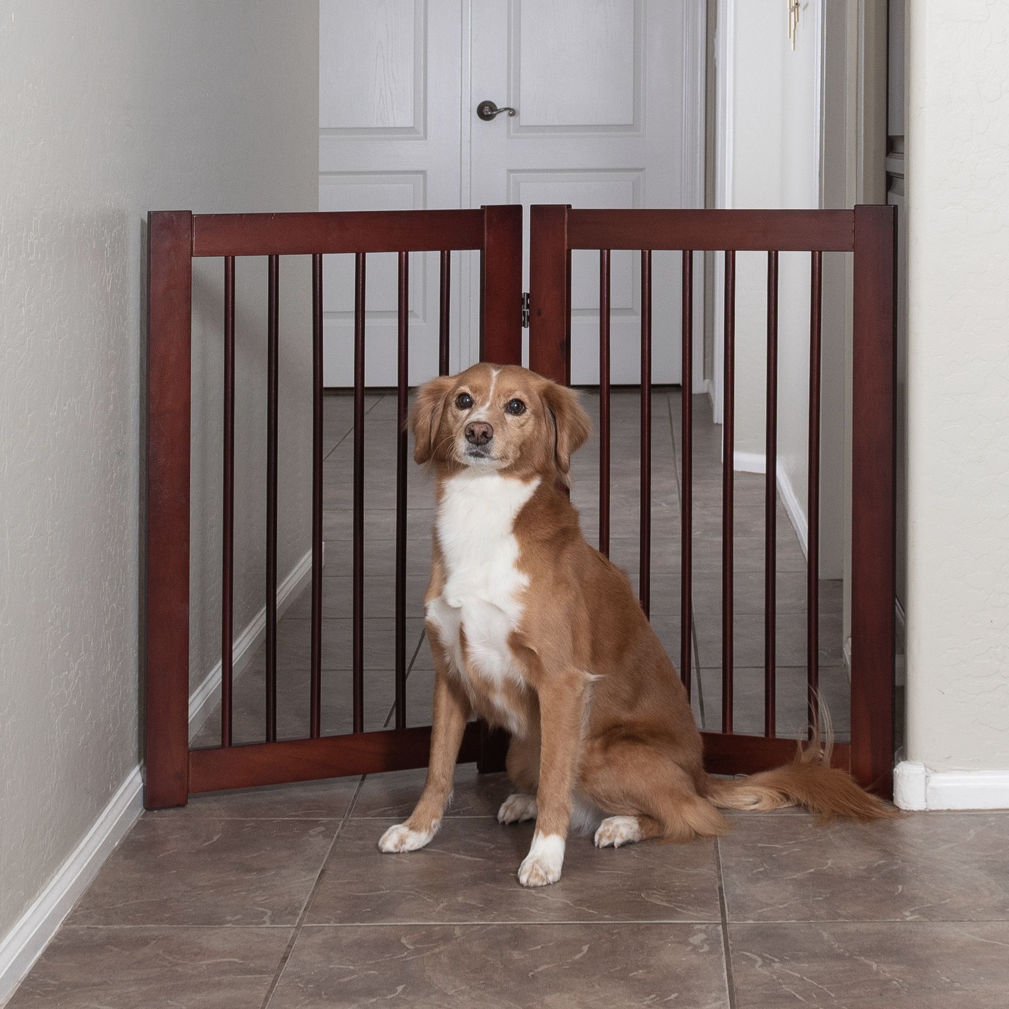 Primetime Petz 360 Configurable 2Panel Extension Pet Gate dog Dog