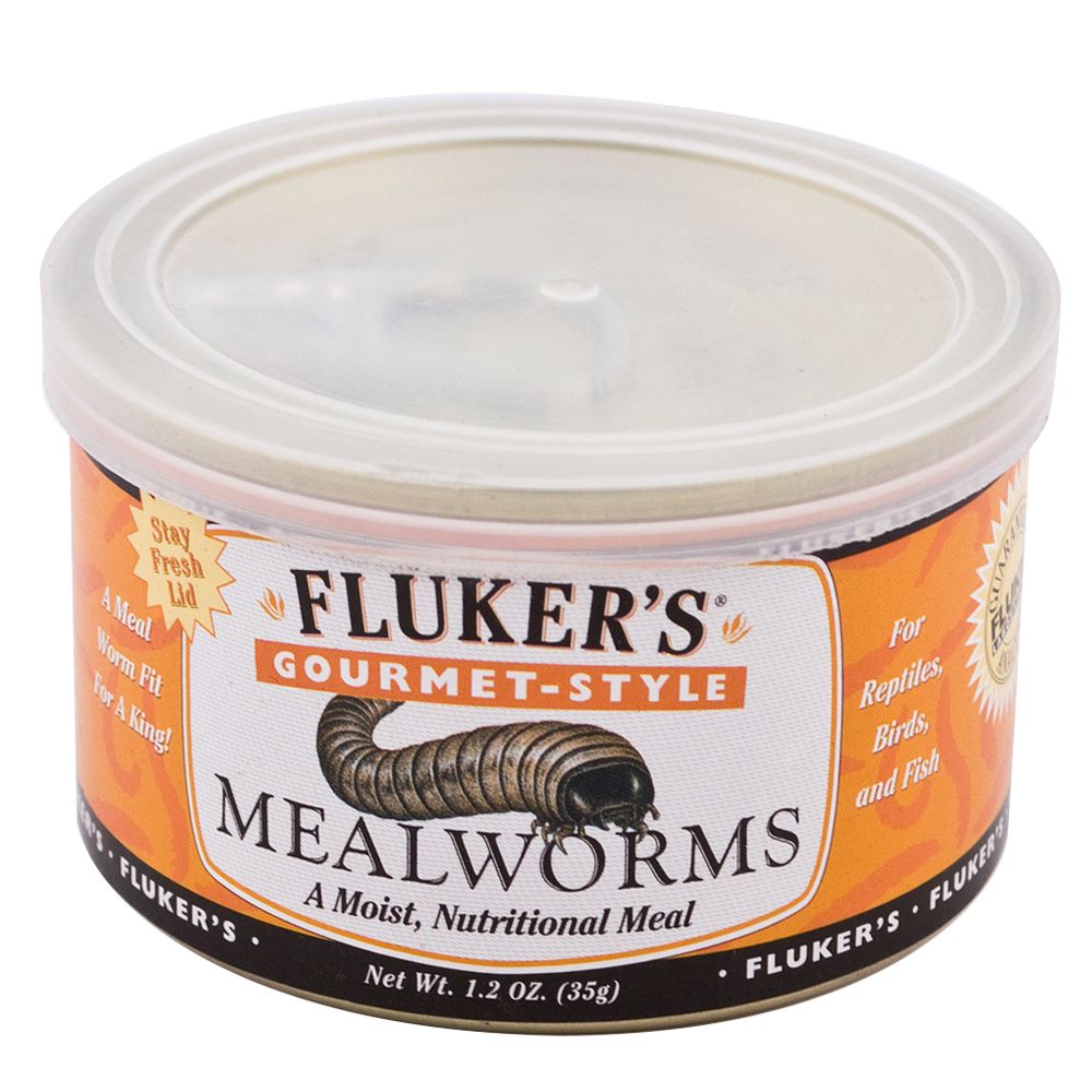 Fluker's® Gourmet Style Mealworms reptile Food PetSmart