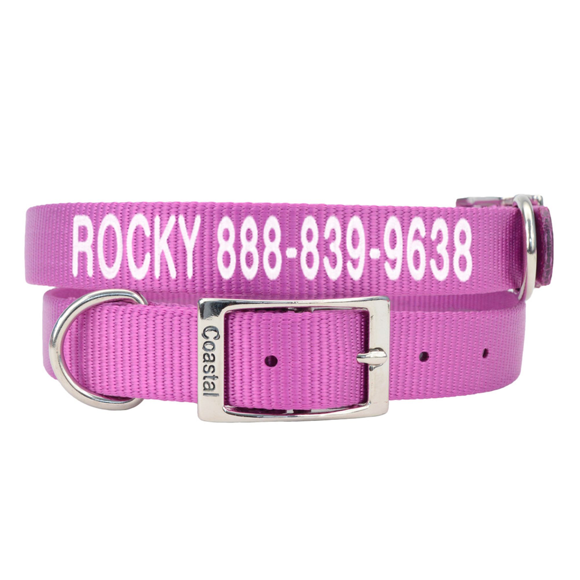 Coastal Pet Products Personalized Dog Collar dog Collars PetSmart