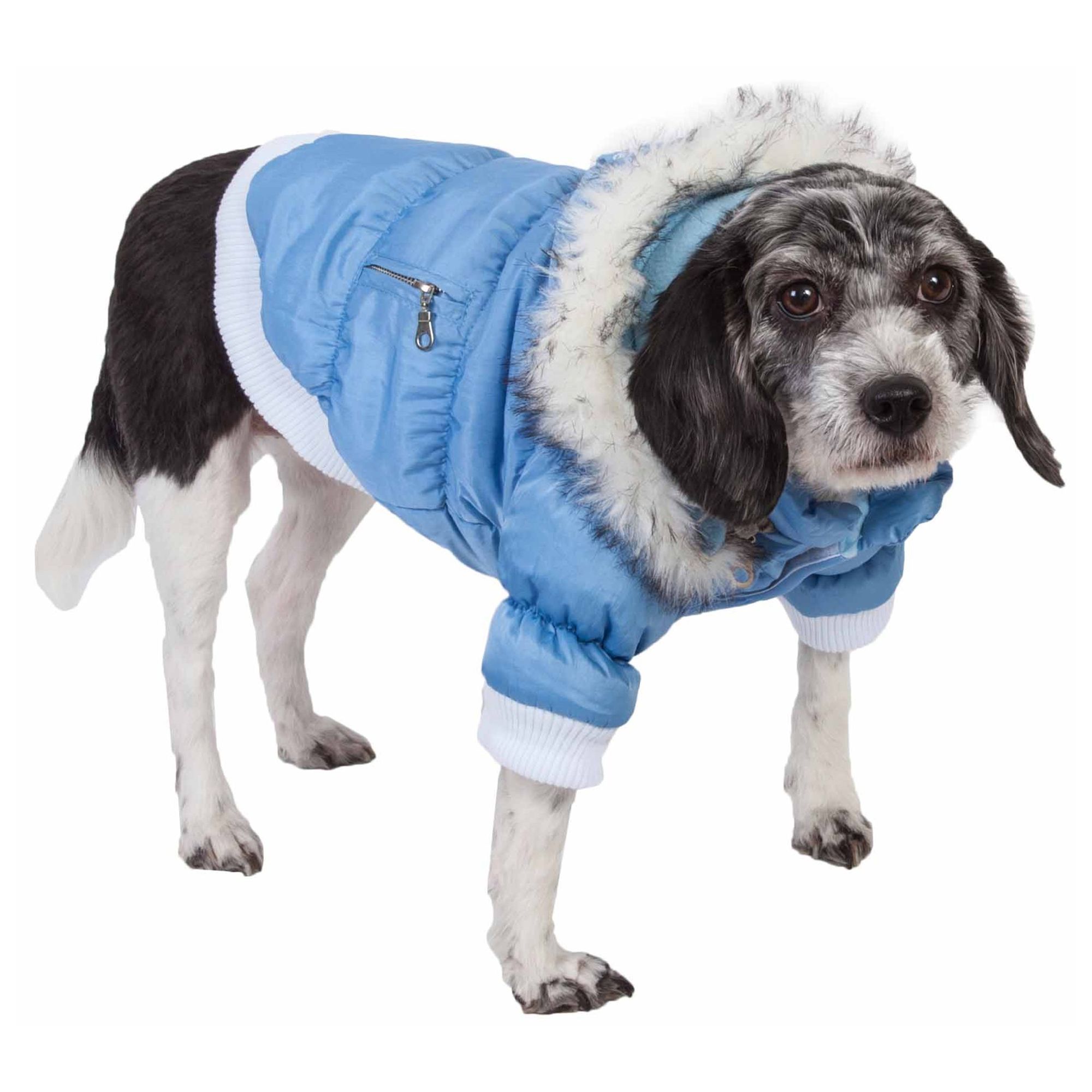 Petsmart Winter Coats For Dogs Tradingbasis