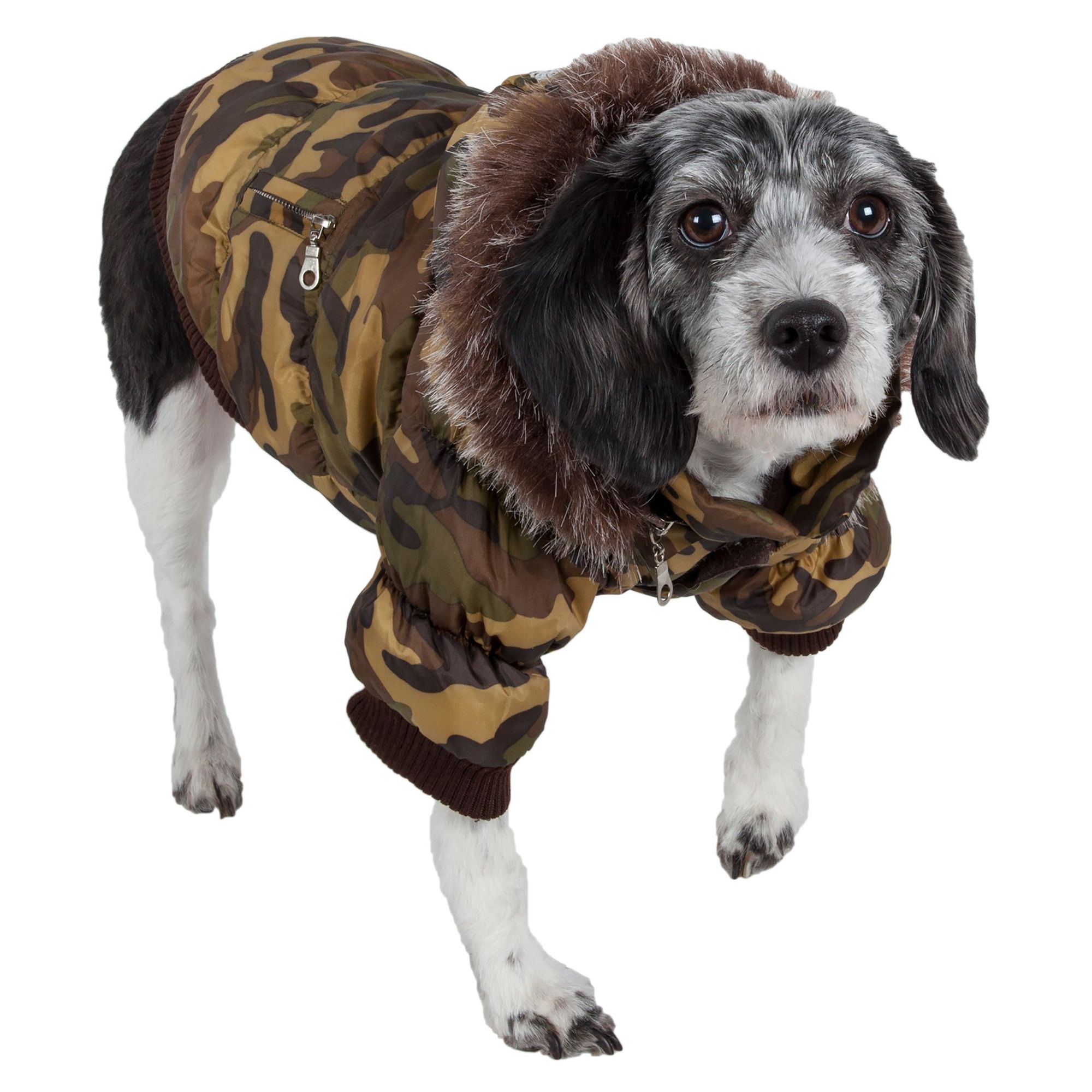 Petsmart Winter Coats For Dogs Tradingbasis
