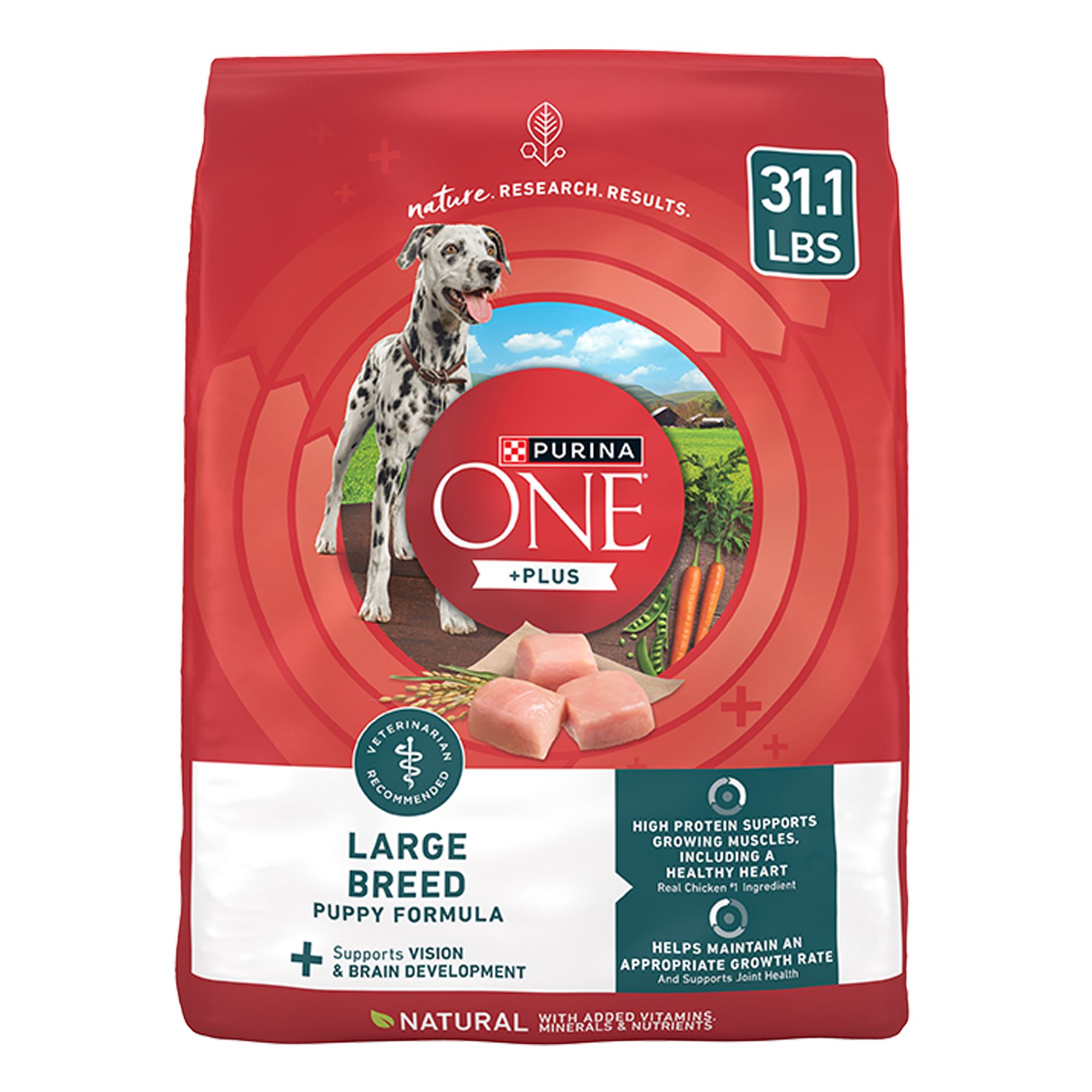 Purina ONE® +Plus Large Breed Puppy Dog Dry Food Chicken, High