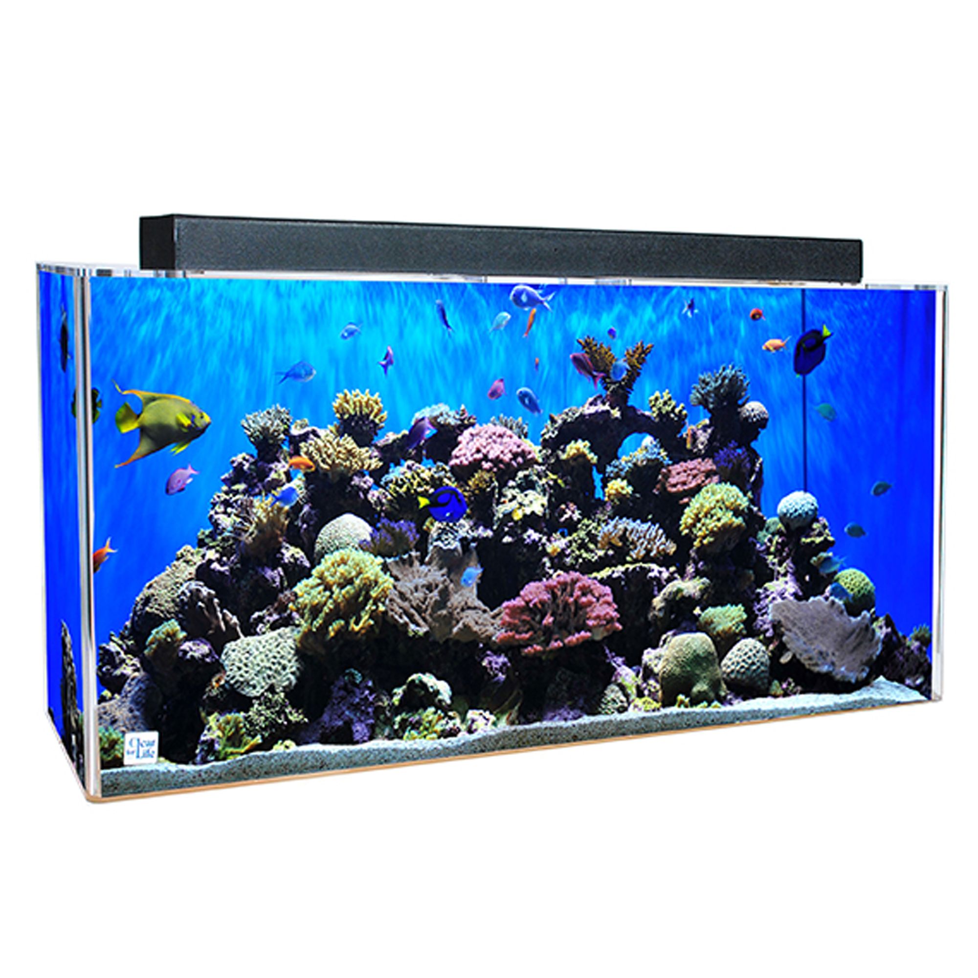 Clear For Life Rectangle Acrylic Aquarium 75 Gallon Aquarium Views