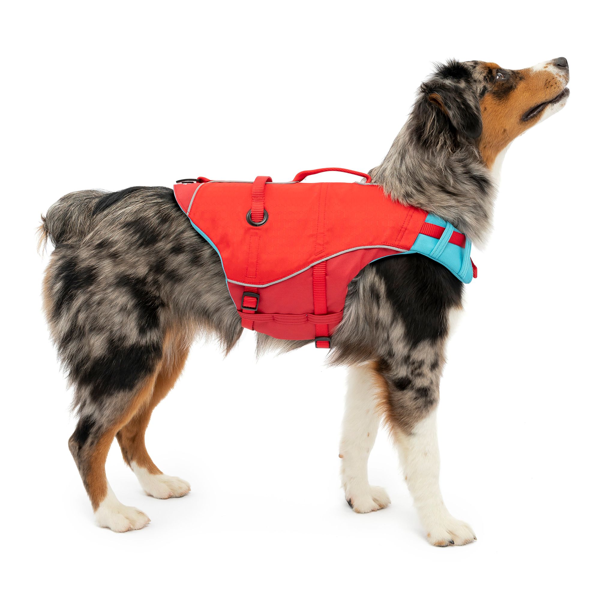 Kurgo® Surf N' Turf Dog Life Jacket dog Life Jackets & Swim Suits