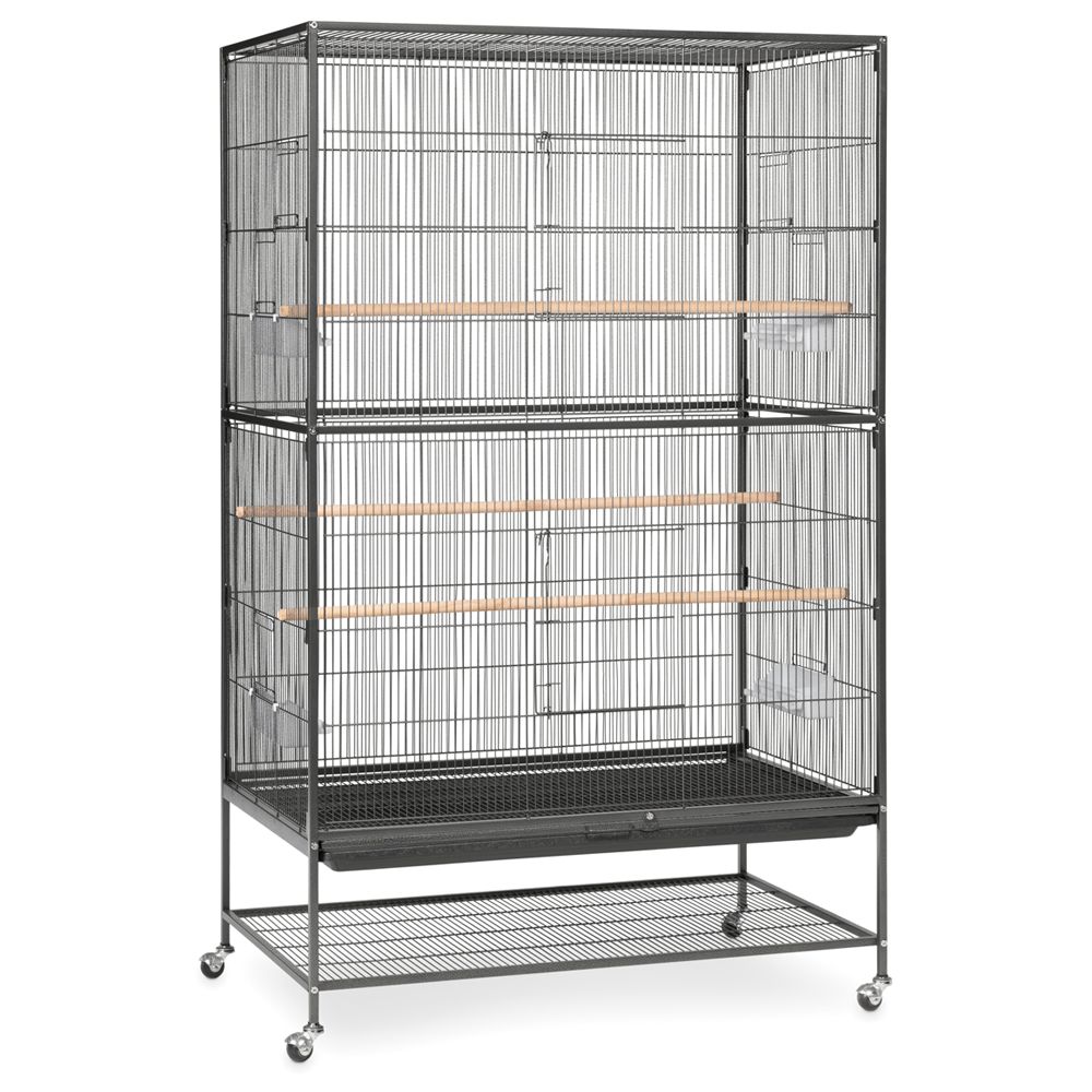 Prevue Pet Products Wrought Iron Flight Bird Cage bird Cages PetSmart