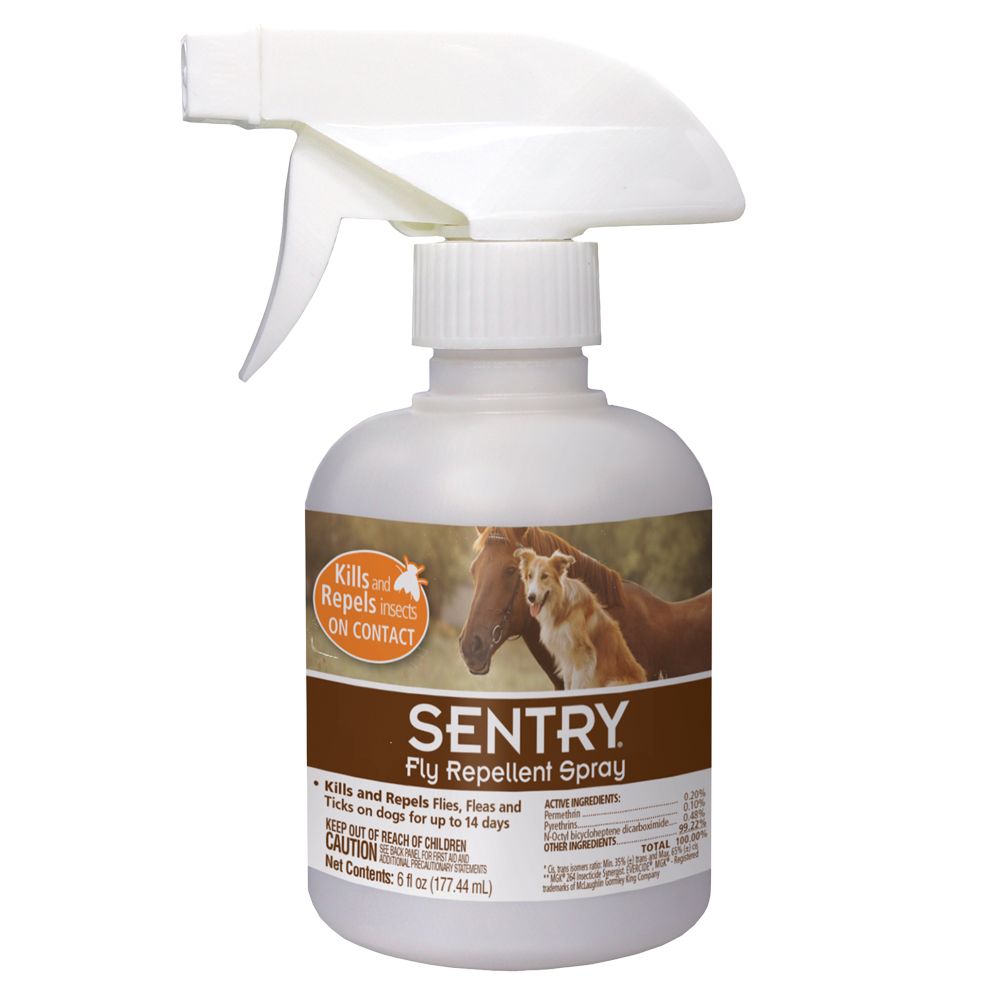 Dog Fly Repellent Spray Captions Ideas