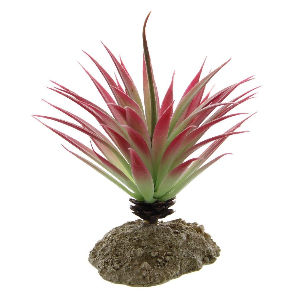 Reptile Supplies Reptile Accessories & Products PetSmart