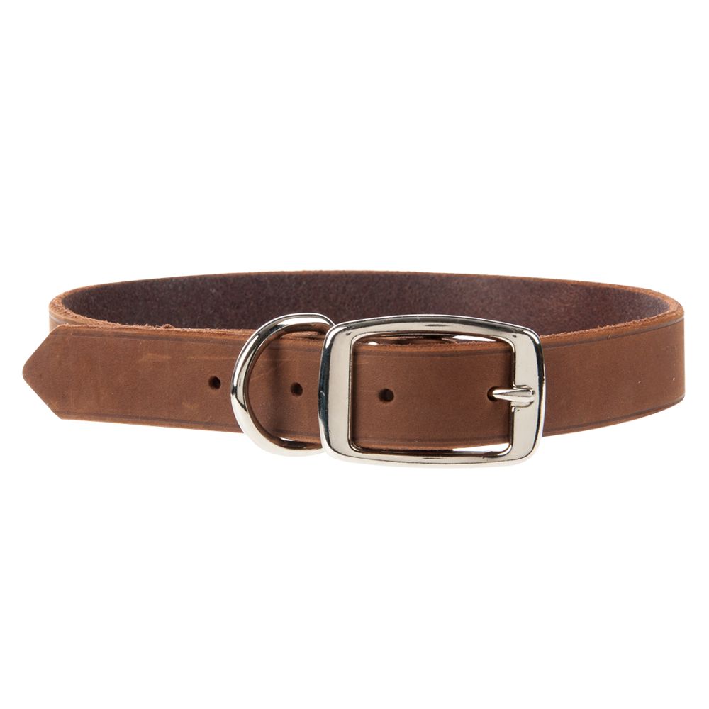 Top Paw® Dog Collar dog Collars PetSmart