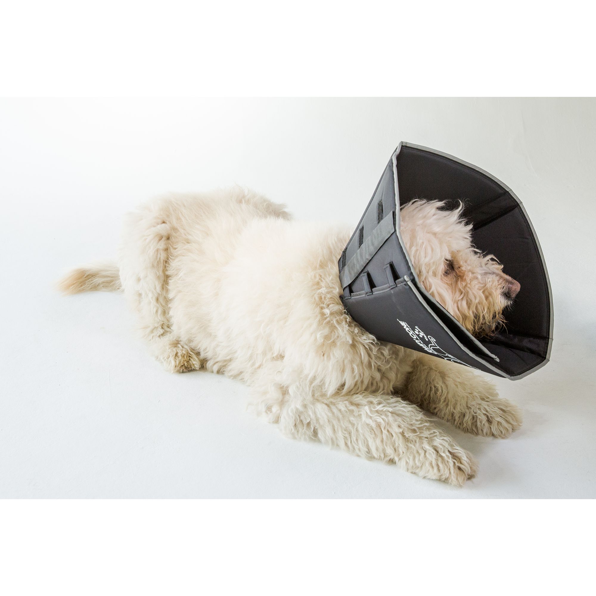 Diy Soft Dog Cone Guaranteed Authentic upcycle.or.jp