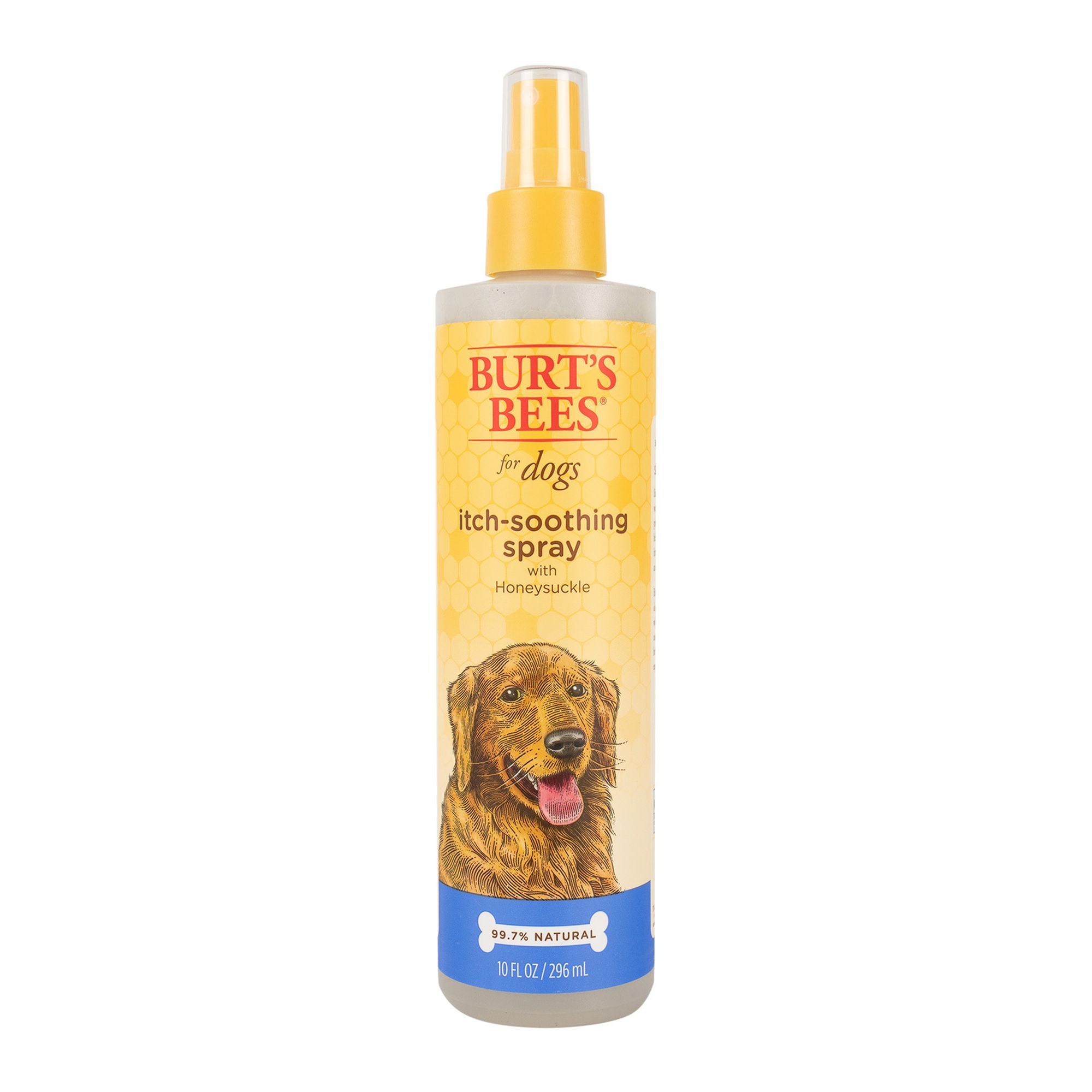 Can You Use Benadryl Spray On Dogs Captions Todays