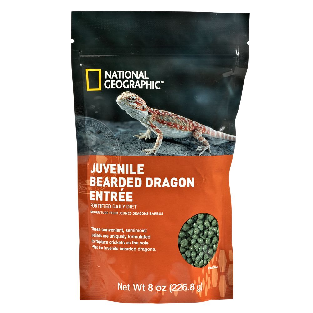 National Geographic ™ Bearded Dragon Event Food