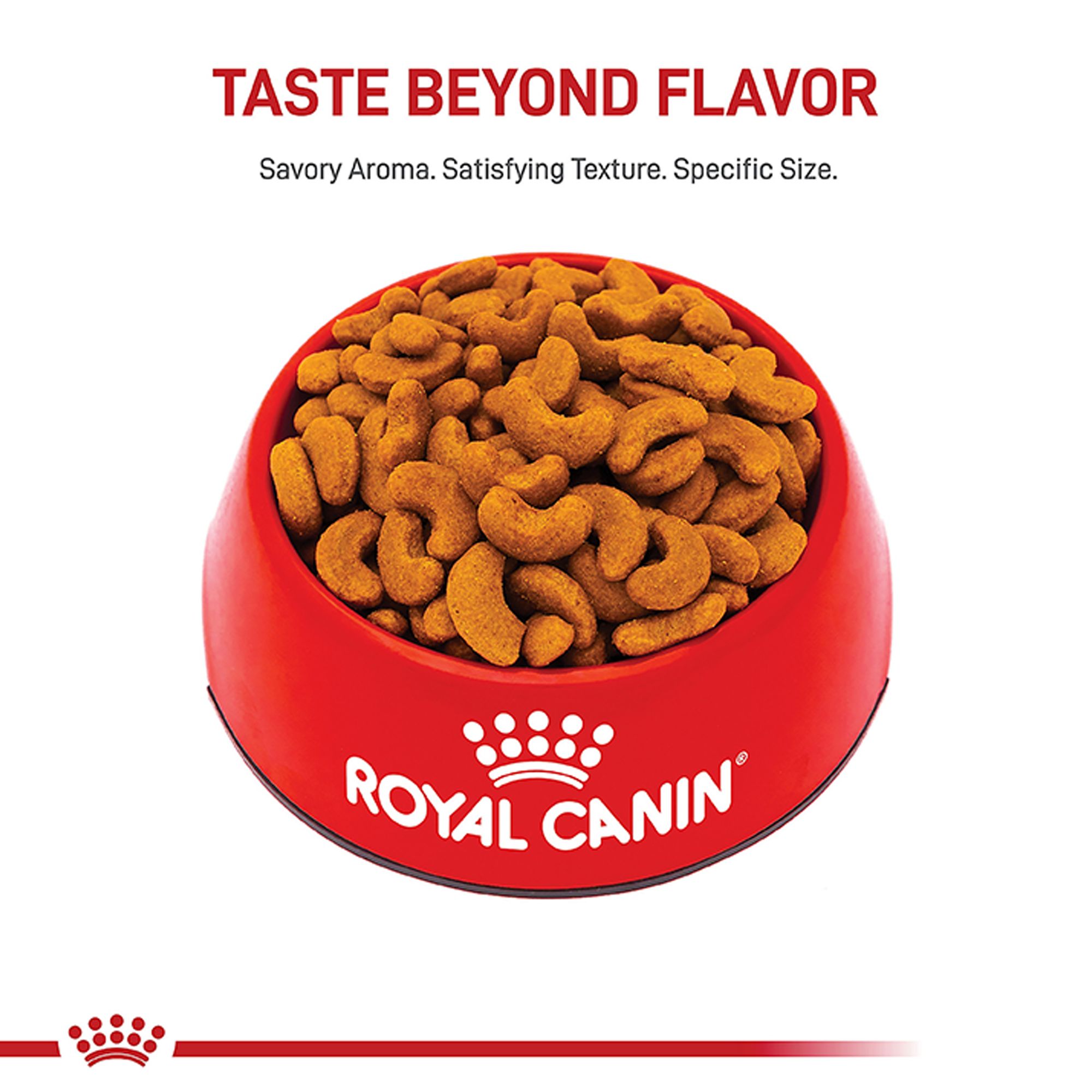 Royal Canin French Bulldog Adult Breed Specific Dry Dog Food | Dog Dry Food | Petsmart
