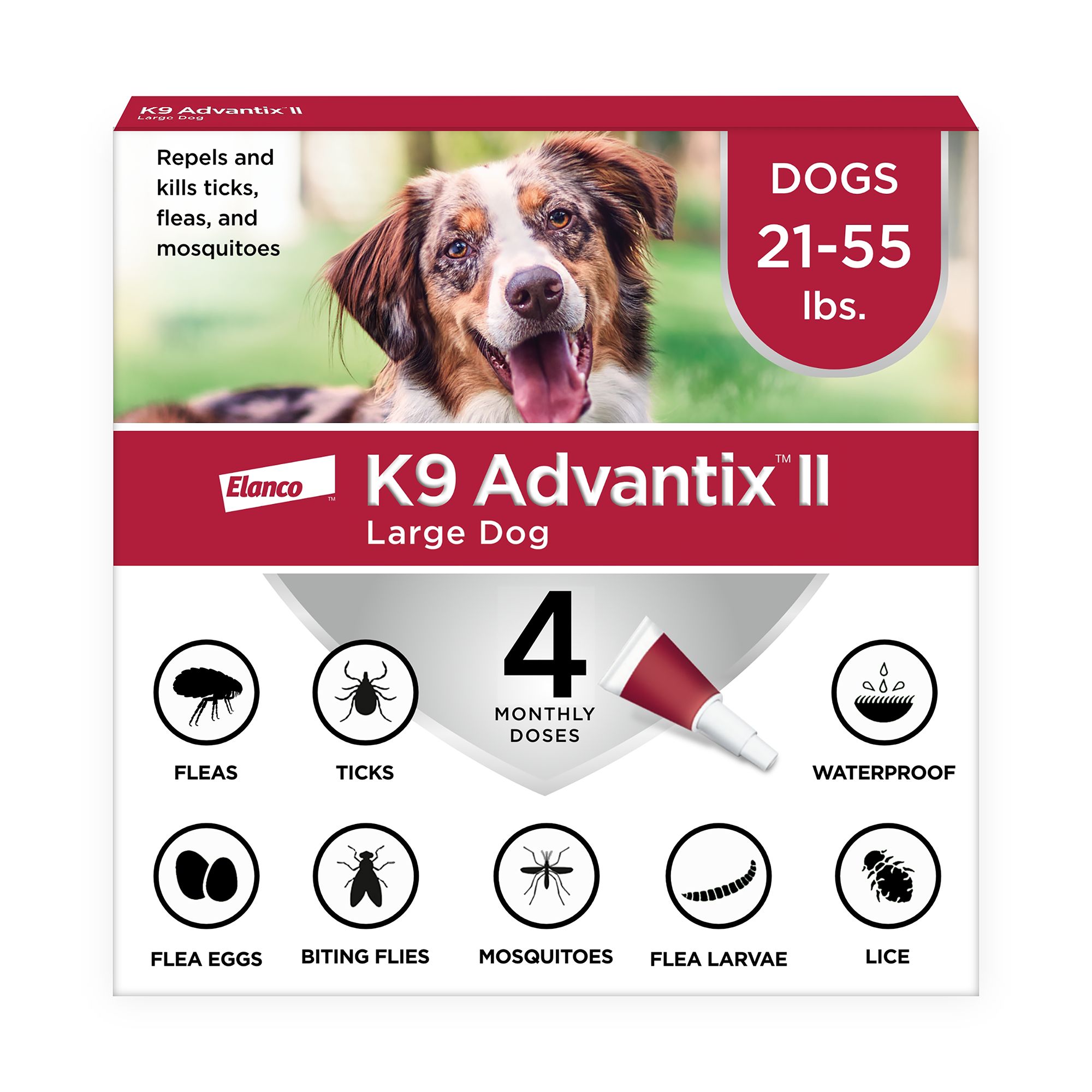 Flea And Tick Pill Petsmart