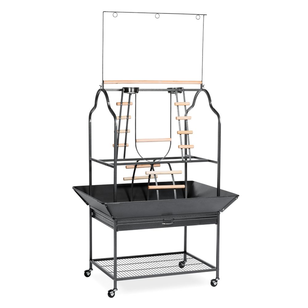 Prevue Pet Products Parrot Playstand bird Stands PetSmart