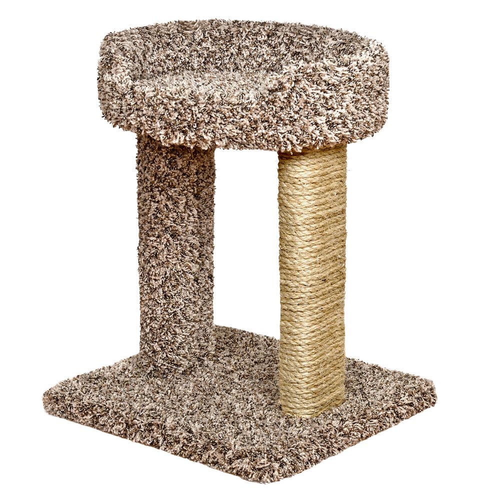 Whisker City® Perch Cat Scratcher cat Furniture & Towers PetSmart