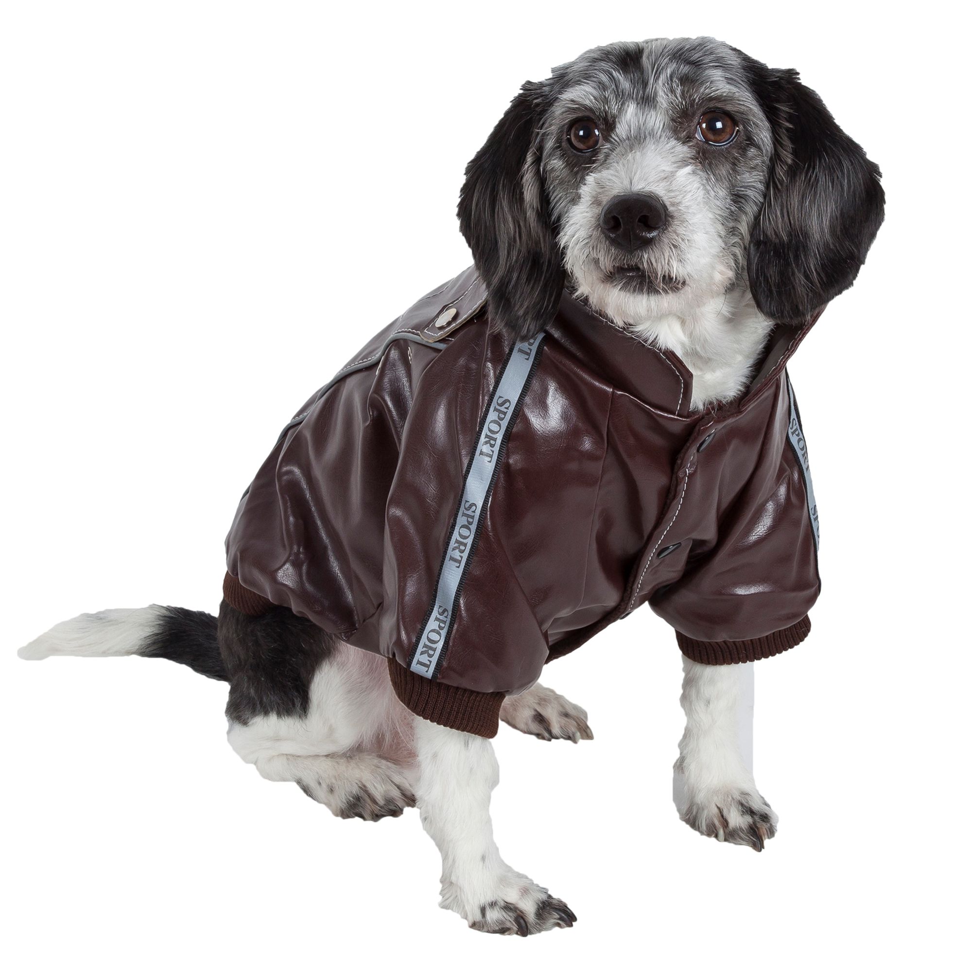Pet Life "WuffRider" Coat dog Sweaters & Coats PetSmart